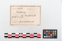 Etikett zu Bronzeschwert (NHMW-PRAE-024091)